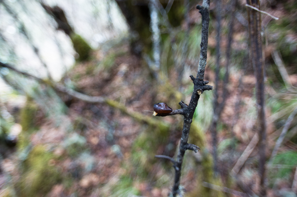_DSC3036.jpg