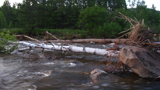 Copy of xx05.jpg
