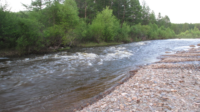 Copy of xx04.jpg