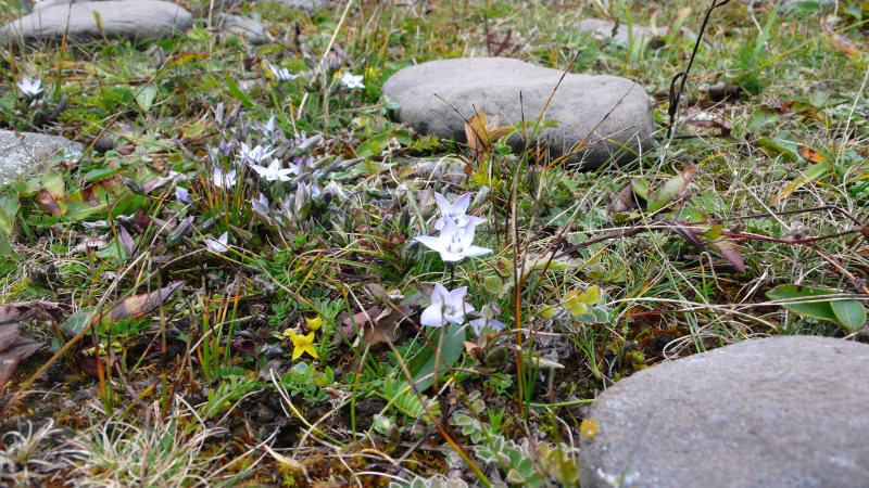 P1100282.jpg