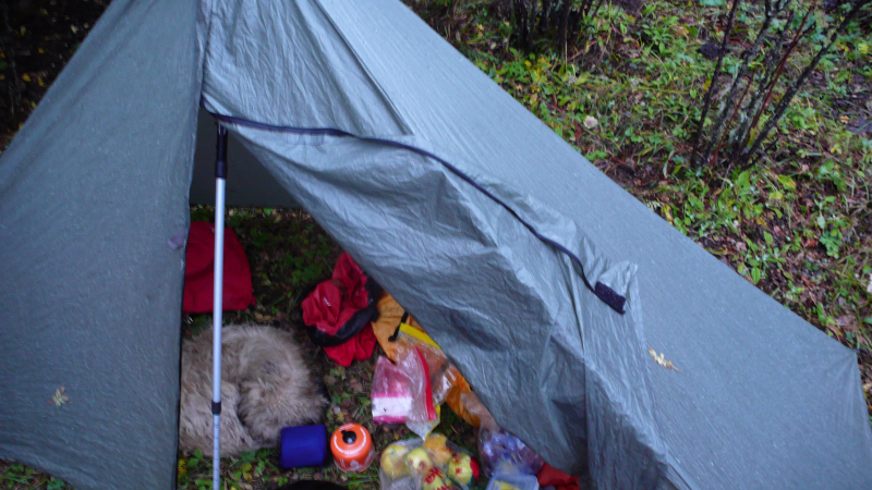 P1100331.jpg