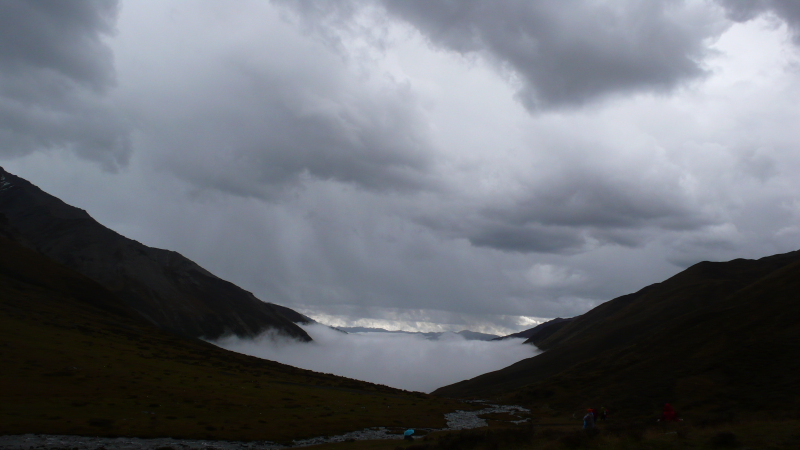 P1100217.jpg