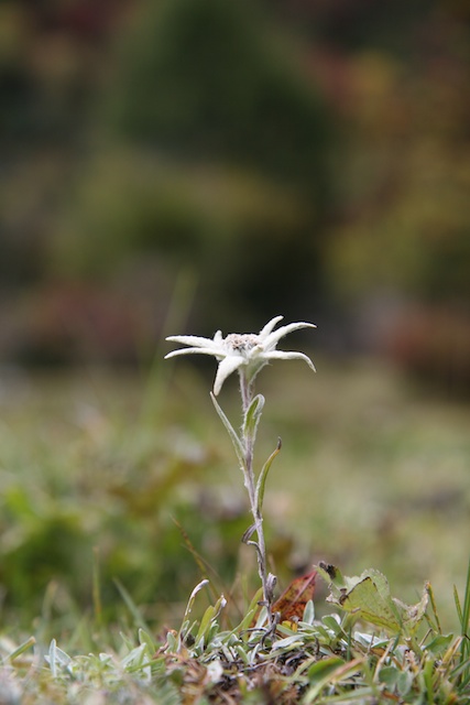 IMG_8682.jpg