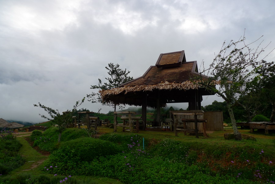 P1140487_缩小大小.JPG