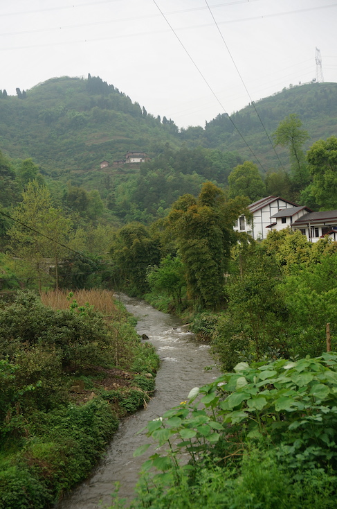 DSC00648.JPG