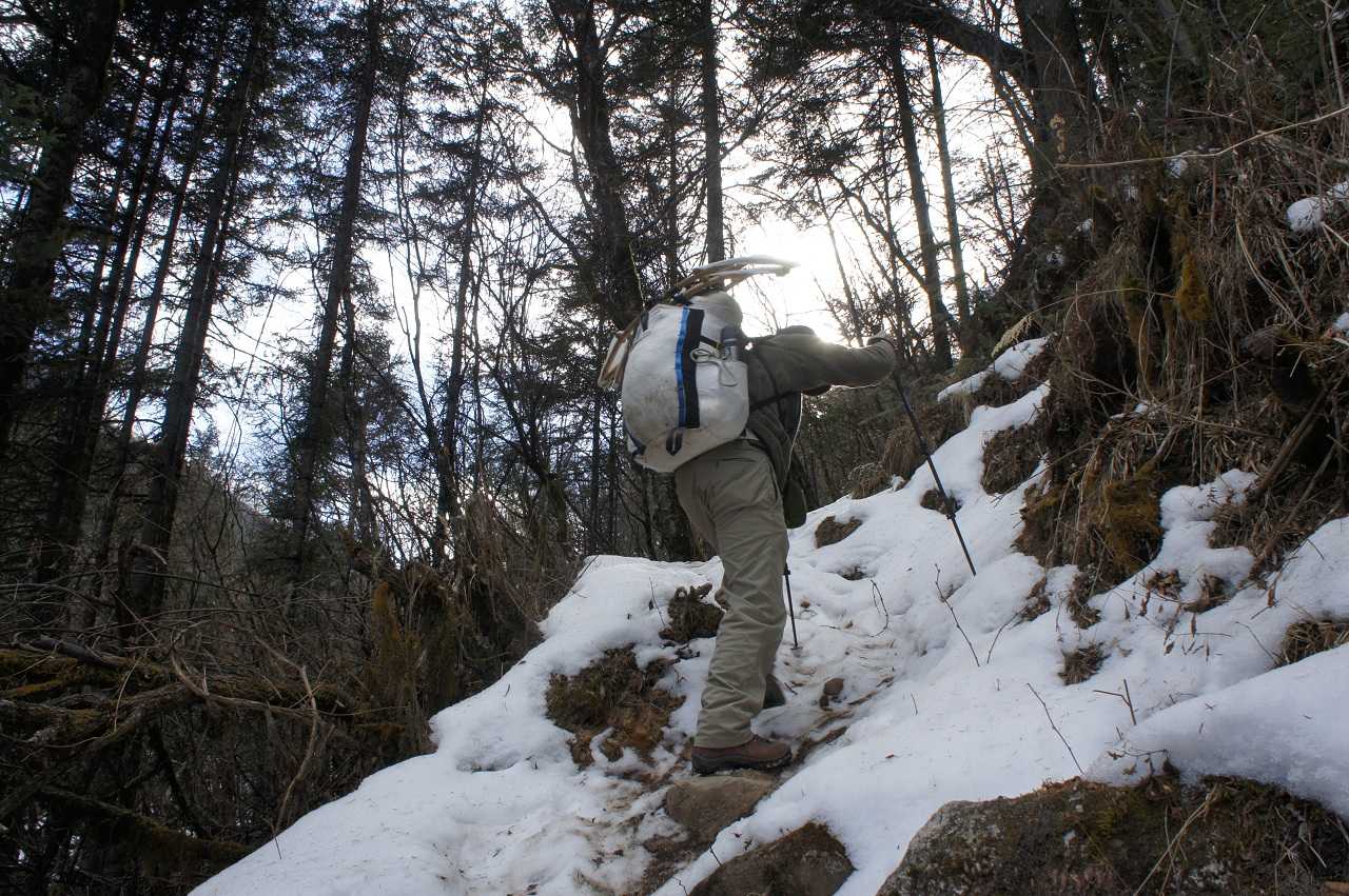 林间已见积雪