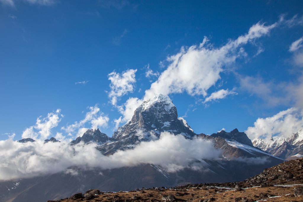 _MG_8434.jpg