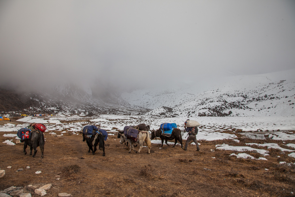 _MG_8439.jpg