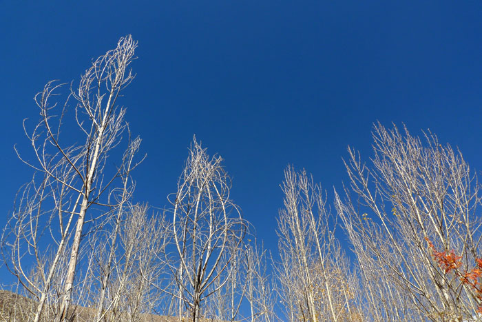 P1030397.jpg
