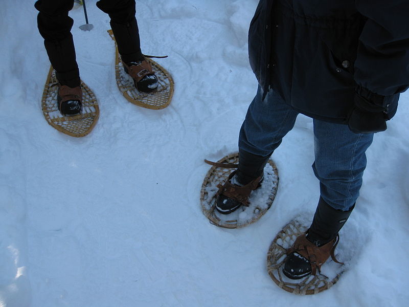 800px-Snowshoes_two_styles.jpg