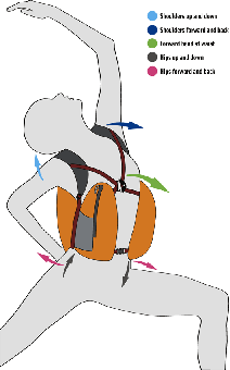 BACK-AND-BODY-PACKS-on-woma_001.gif
