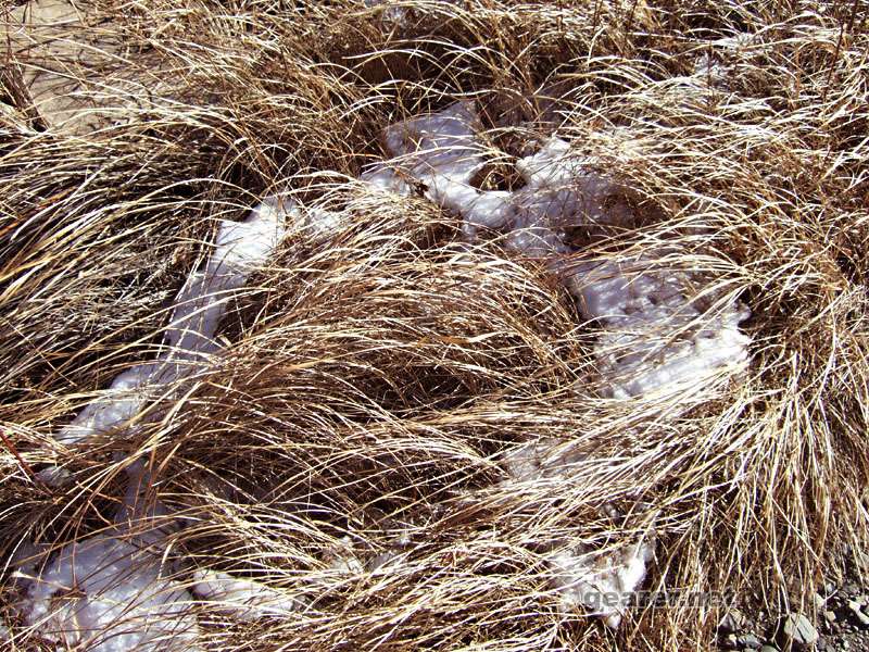DSCF2399.JPG