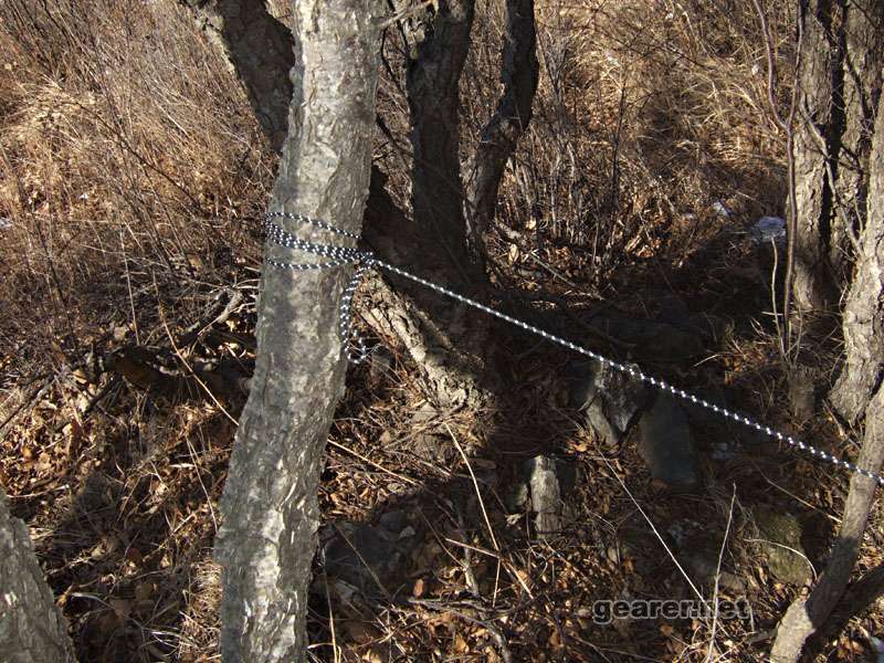 DSCF2598.JPG