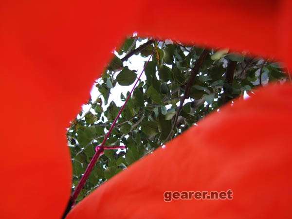 DSCF7455.JPG