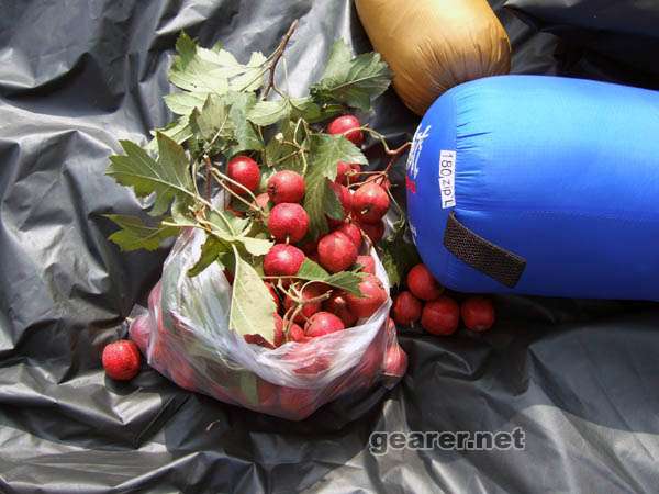DSCF7485.JPG