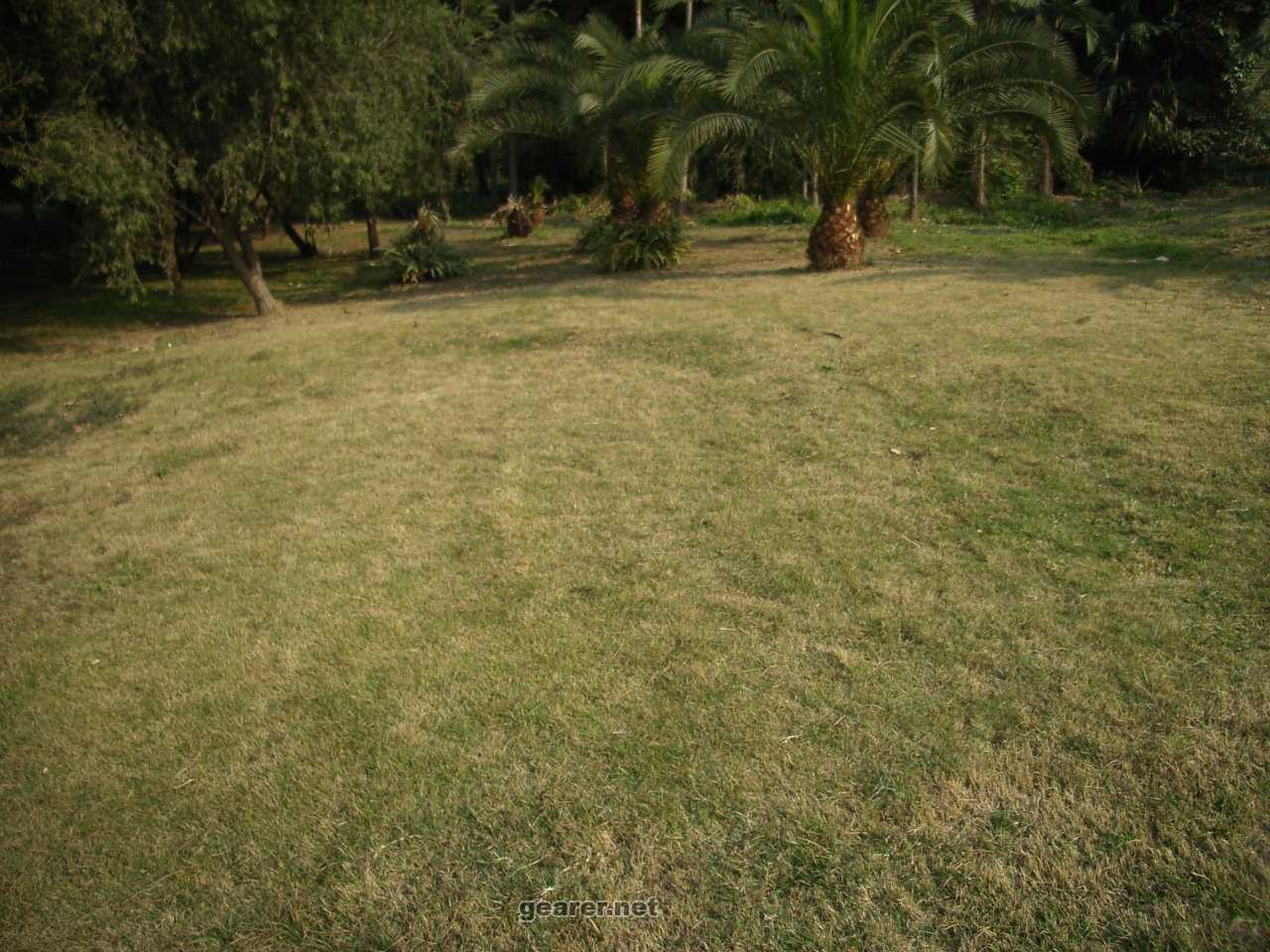 R0010086.JPG