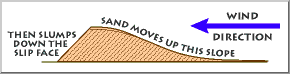 Sand_dune_formation.png