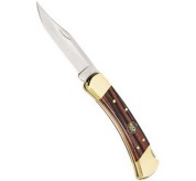 BUCK110