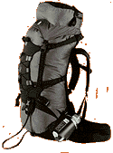 ospreysilhouette.gif