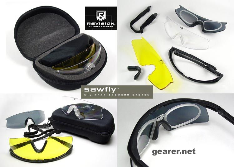 sawfly.jpg