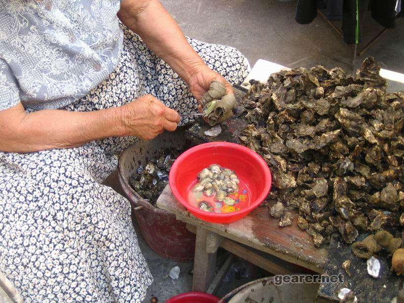 调整大小 IMG_2511.JPG