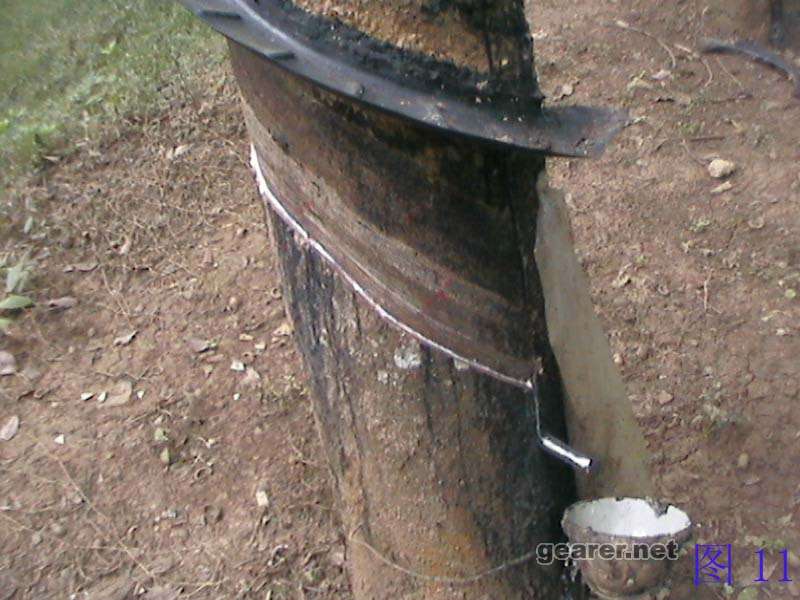 011.jpg