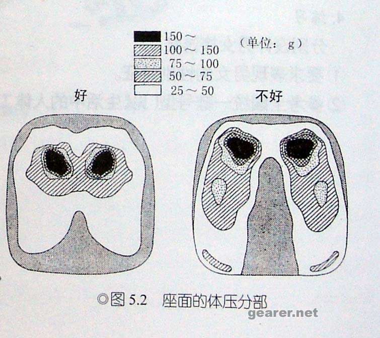 座面的体压分布.jpg