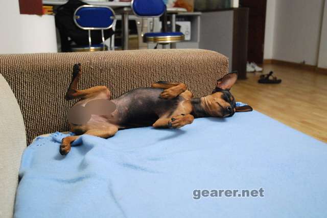 20080510_9b6e0fec12db0baa5dd86FS4nEbGza5M.jpg