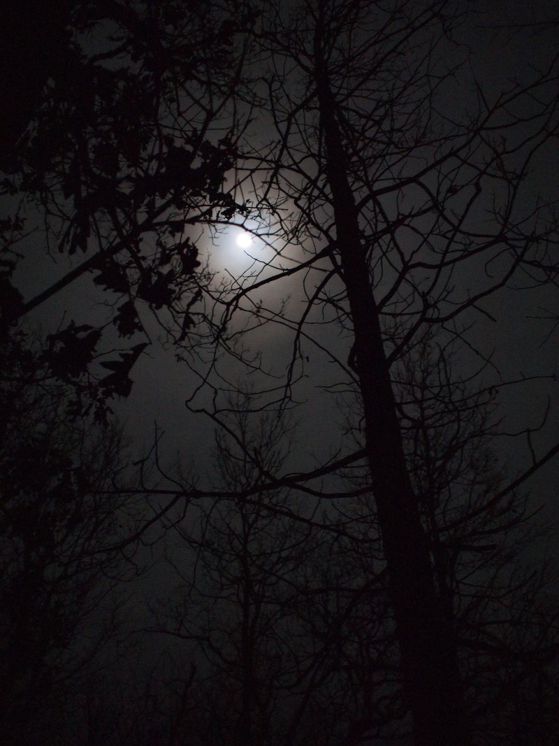 P1010103.JPG