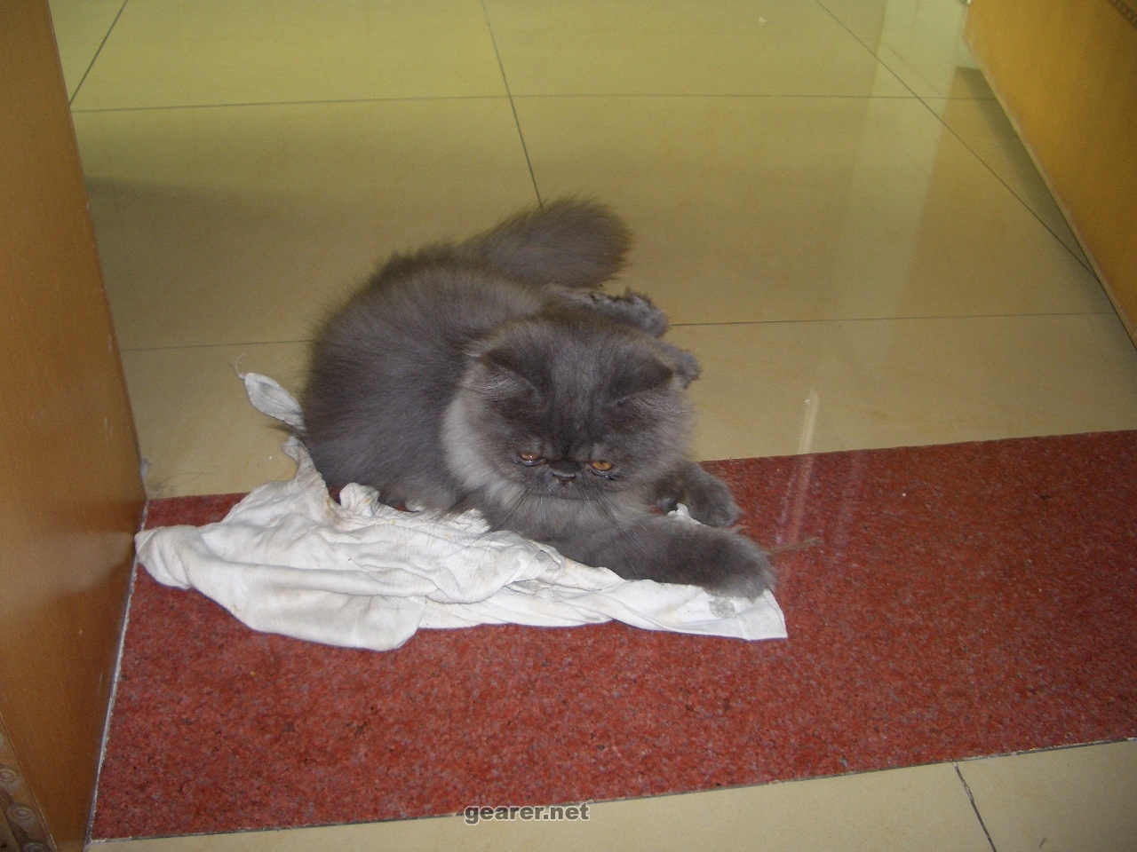 CIMG0033.JPG