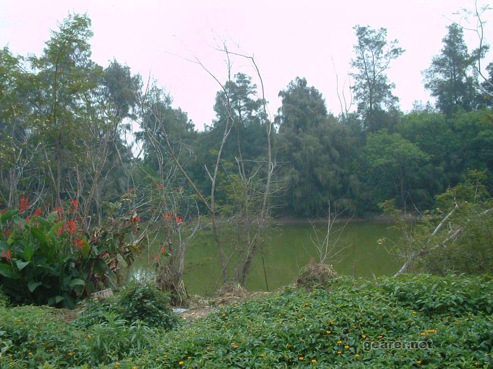 DSCF0010~.jpg