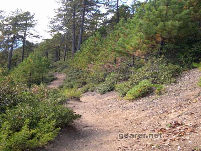 垭口下面就是阿丙村。下山的路