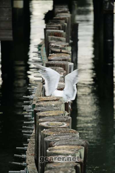 IMG_3258.jpg
