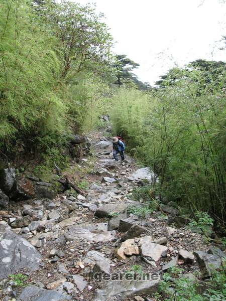 苍山上山的路