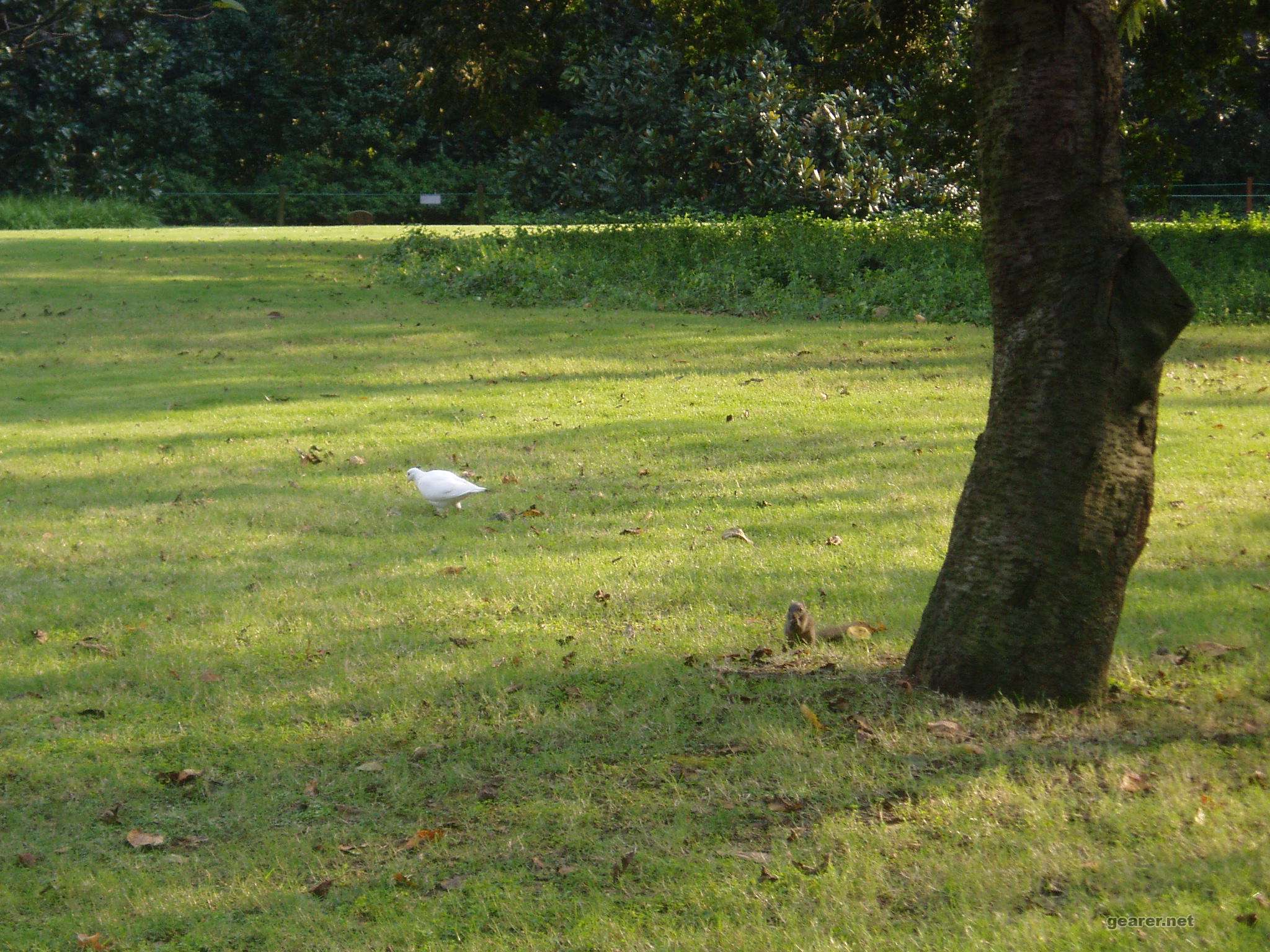 P1010011.JPG