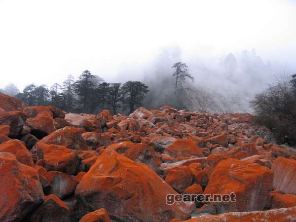 IMG_1136_调整大小.jpg