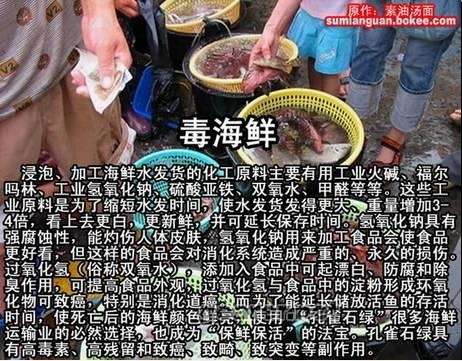 b_28E78F8BE826B2C6C500A6586A99ABA5.jpg