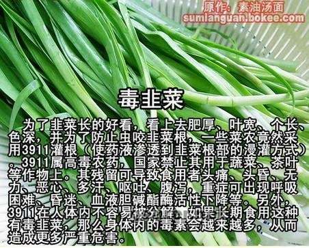 b_40015BDEA23BFEDDED205492D625785A.jpg