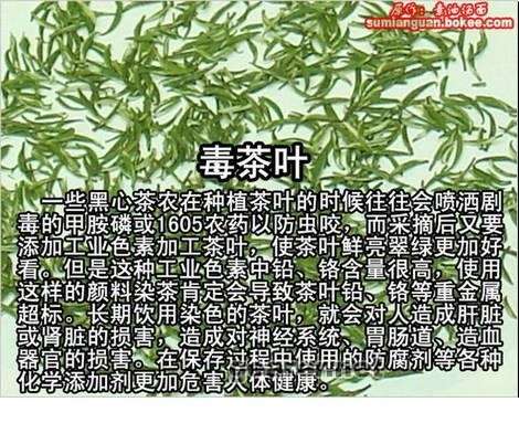 b_E8CA5D193E56C32AE09B6C4CCDA2D53D.jpg