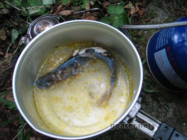 fish2.JPG