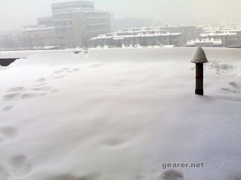 snow1.jpg