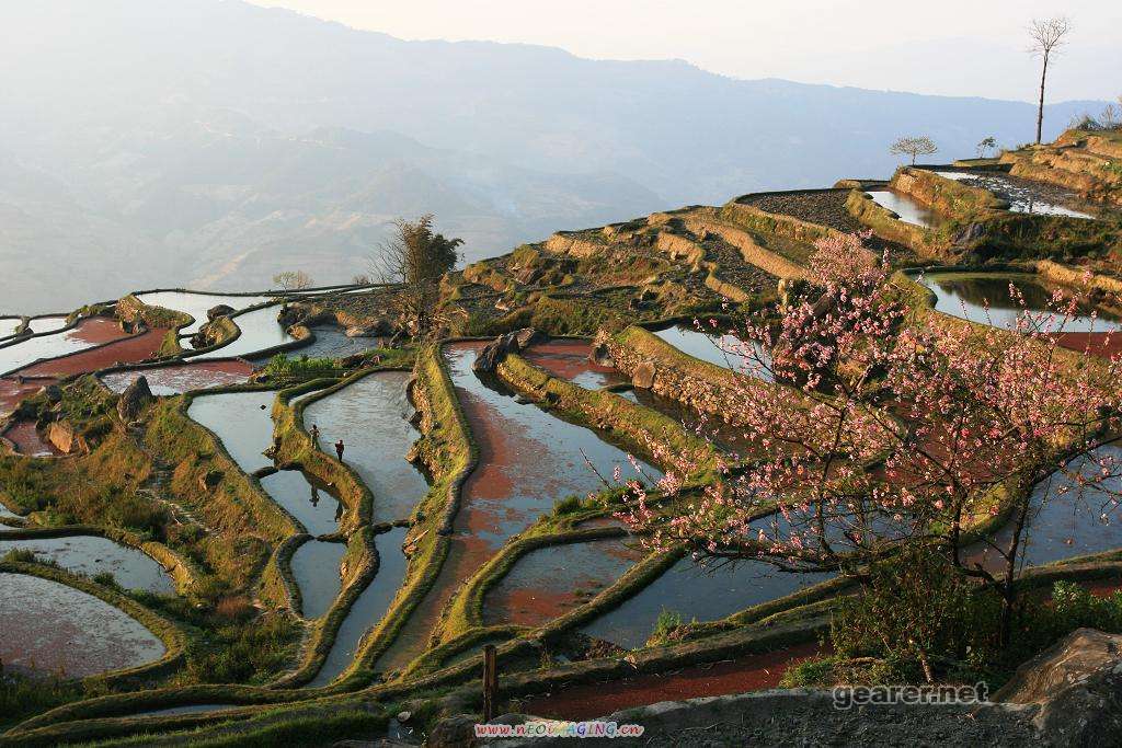 龙树坝.jpg