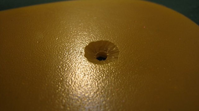 IMG_5565_resize.jpg