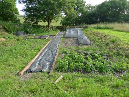 veg_plot-450x337.jpg