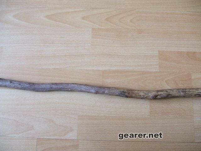 中部2